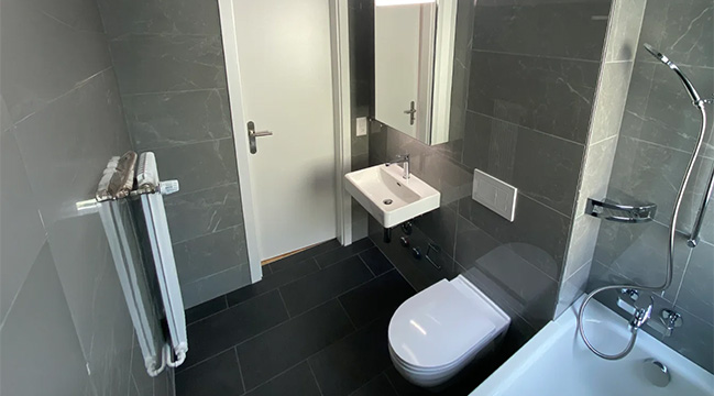 3.5 Zimmerwohnung Hofwiesenstrasse 285