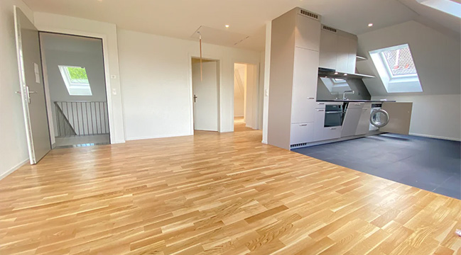 Dachwohnung Hofwiesenstrasse 285