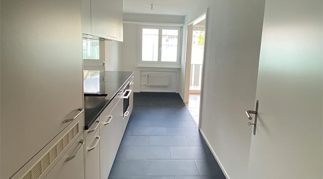 3.5 Zimmerwohnung Hofwiesenstrasse 285